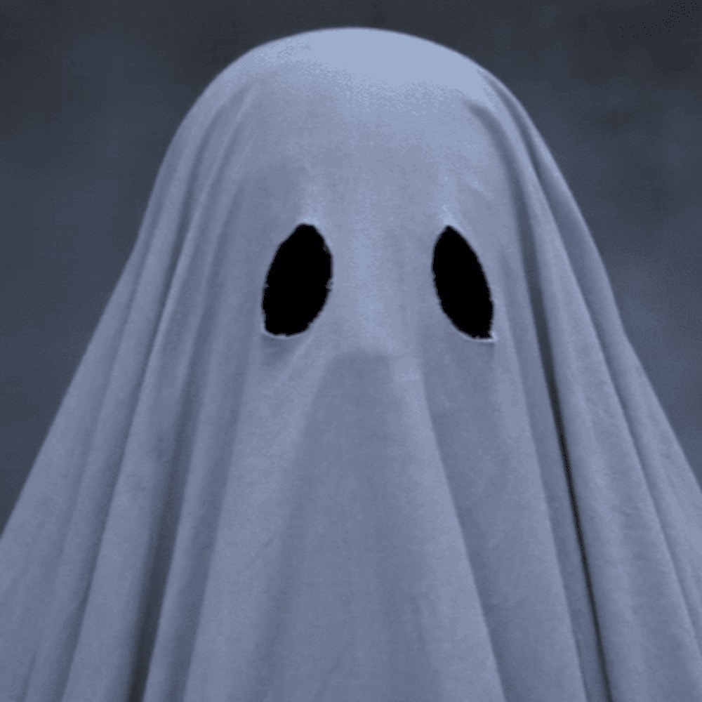 Meet your Posher, Mia